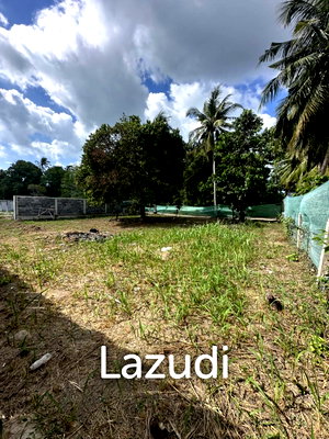 ที่ดิน สุราษฎร์ธานี : Flat 400 sqm Land – Prime Location Near Thong Sala