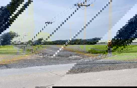 รูป ขาย โรงงาน 24-3-19 ไร่ บางน้ำเปรี้ยว จ.ฉะเชิงเทรา มีใบรง.4 - รูปที่ 5/6