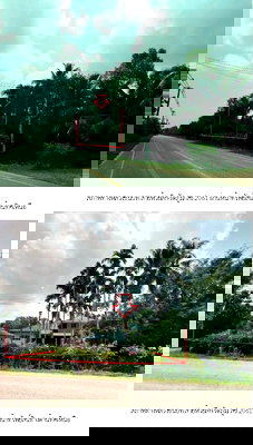 บ้านเดี่ยว รัตภูมิ สงขลา : บ้านเดี่ยว, 198.3 ตร.วา, บ้านเดี่ยว รัตภูมิ-สงขลา, รัตภูมิ, สงขลา, 2.7M