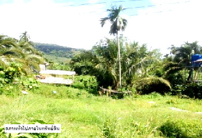 PROPERTY 48 Sq.w. Ko Lanta Krabi for 1.1M
