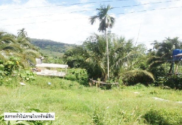picture ที่ดินว่างเปล่า for sale ที่ดินว่างเปล่า เกาะลันตา-กระบี่ - 1/4