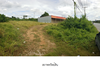 listing thumbnail image 3