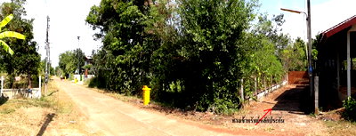 บ้านเดี่ยว นครพนม : บ้านเดี่ยว สำหรับขาย บ้านเดี่ยว นาหว้า-นครพนม