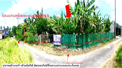 บ้านเดี่ยว กระบี่ : ที่ดินว่างเปล่า สำหรับขาย ที่ดินว่างเปล่า เขาพนม-กระบี่