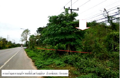 บ้านเดี่ยว แจ้ห่ม ลำปาง : ที่ดินว่างเปล่า, 1140 ตร.วา, ที่ดินว่างเปล่า ใหม่สวนดอกคำ แจ้ห่ม-ลำปาง, แจ้ห่ม, ลำปาง, 2.1M