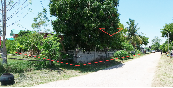 picture บ้านครึ่งตึกครึ่งไม้ for sale บ้านครึ่งตึกครึ่งไม้ หัวนาคำ โกสุมพิสัย-มหาสารคาม - 1/5