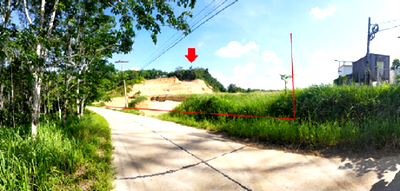 Houses for sale Surat Thani : PROPERTY, 4396 Sq.w., ที่ดินว่างเปล่า พนม-สุราษฎร์ธานี, Phanom, Surat Thani | 7.7M