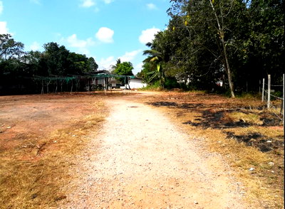 Houses for sale Boromrajonani College of Nursing Surat Thani : HOME for sale บ้านเดี่ยว เมืองสุราษฎร์ธานี-สุราษฎร์ธานี