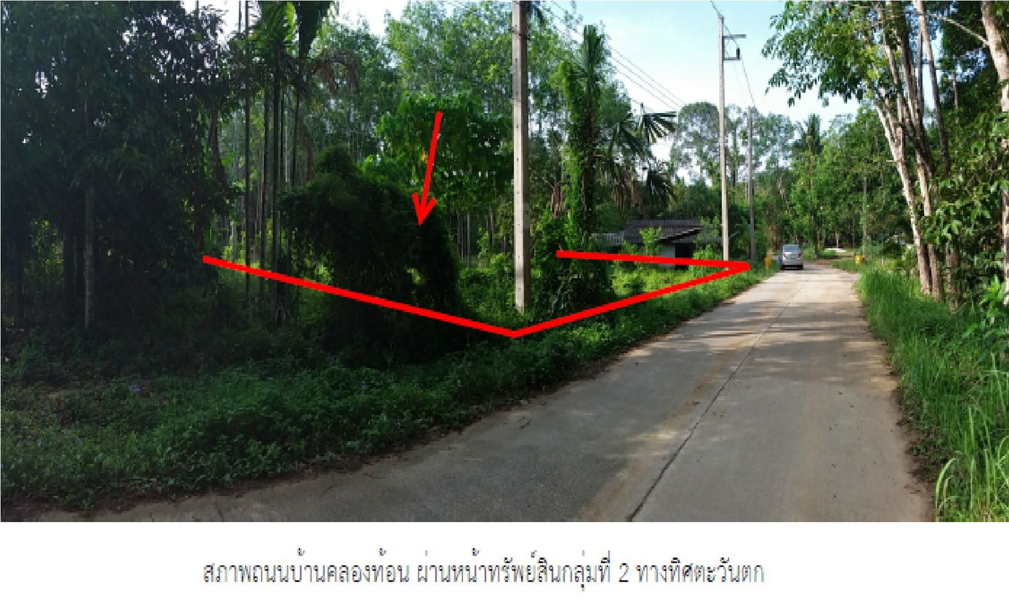 picture ที่ดินว่างเปล่า for sale ที่ดินว่างเปล่า จุฬาภรณ์-นครศรีธรรมราช - 4/7