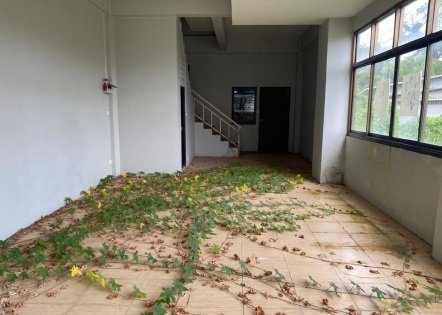 picture SHOP_HOUSE for sale อาคารพาณิชย์ เมืองกระบี่ - 4/11