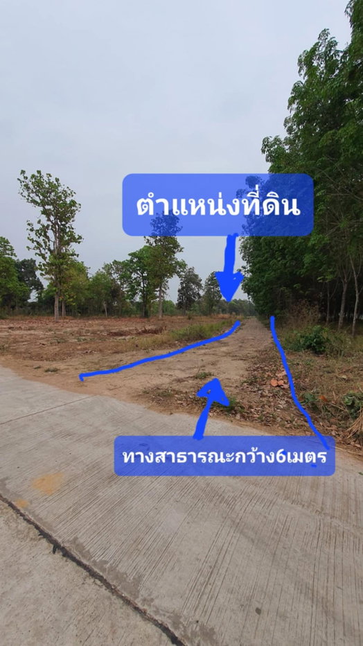 รูป ขายที่ดินกาฬสินธุ์ กุฉินารายณ์ ท้ายบ้านแจนแลน 35ไร่48ตร.ว ราคา5.2ล้าน ต่อรองได้ ราคาเฉลี่ยต่อไร่ต่ำกว่า150,000บาท - รูปที่ 4/4