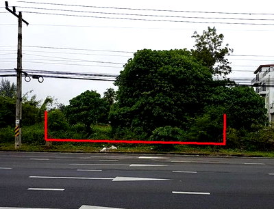 บ้านเดี่ยว สุราษฎร์ธานี : ที่ดินว่างเปล่า สำหรับขาย ที่ดินว่างเปล่า พุนพิน-สุราษฎร์ธานี