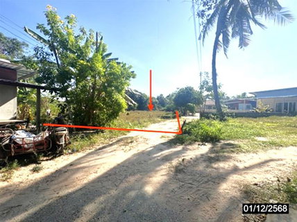 LAND for sale  Rattang Wari Hua Taphan Amnat Charoen