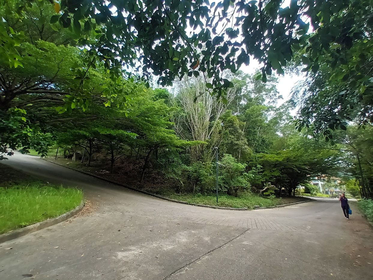 รูป ที่ดินว่างเปล่า สำหรับขาย ที่ดินว่างเปล่า เมืองภูเก็ต - รูปที่ 9/12