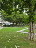 listing thumbnail image 12