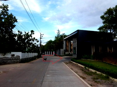 Houses for sale Nakhon Ratchasima : HOME for sale บ้านแฝด บียอนด์ สุรนารายณ์-จอหอ