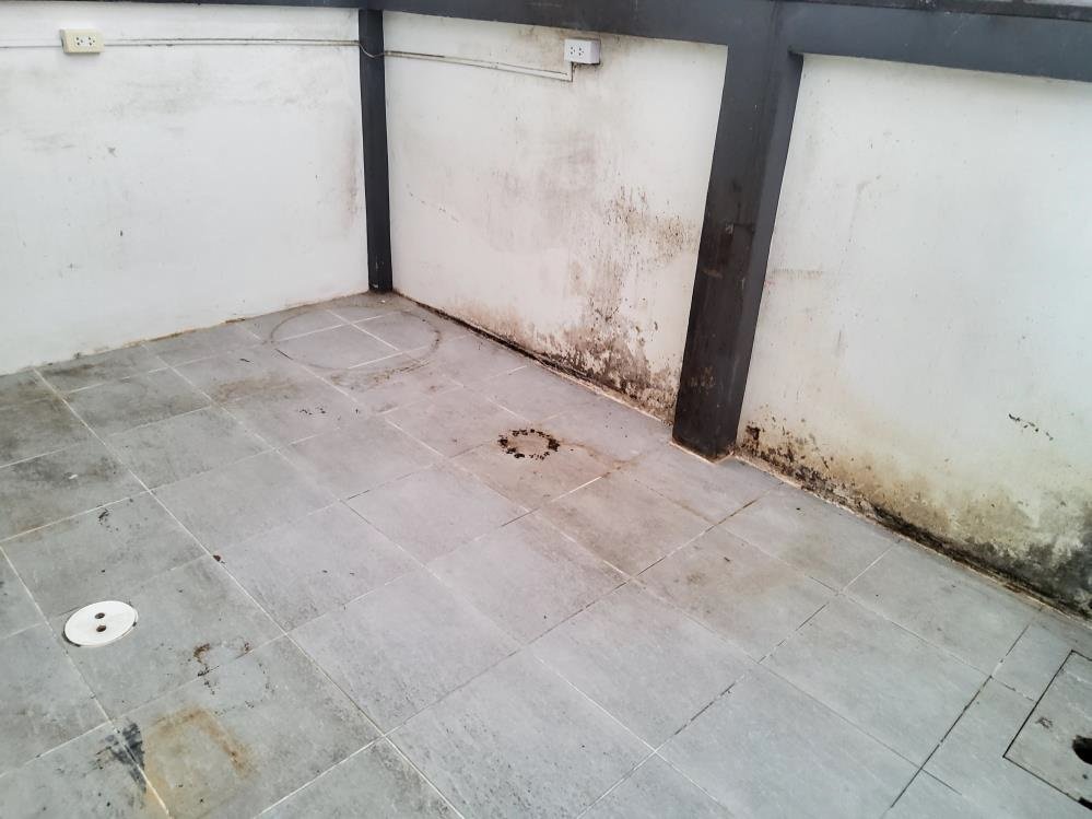 รูป อาคารพาณิชย์ สำหรับขาย อาคารพาณิชย์ พาสิริ ธารา 5 (หนองแค) หนองแค-สระบุรี - รูปที่ 11/13