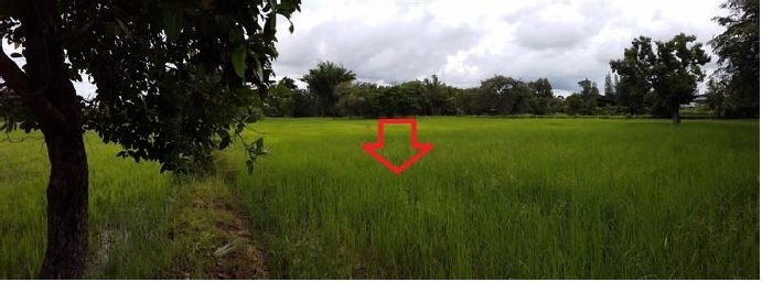 picture ที่ดินว่างเปล่า for sale ที่ดินว่างเปล่า บ้านยางเครือ จตุรพักตรพิมาน-ร้อยเอ็ด - 4/7