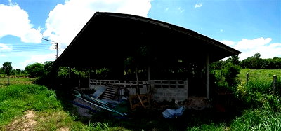 บ้านเดี่ยว แม่ทะ ลำปาง : บ้านพร้อมกิจการ, 1208 ตร.วา, บ้านพร้อมกิจการ บ้านจว๊าก แม่ทะ-ลำปาง, แม่ทะ, ลำปาง, 2.9M