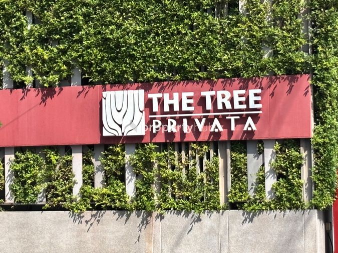 The Tree Privata