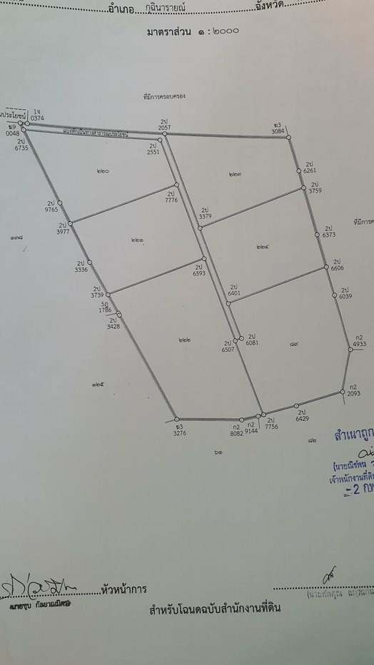 รูป ขายที่ดินกาฬสินธุ์ กุฉินารายณ์ ท้ายบ้านแจนแลน 35ไร่48ตร.ว ราคา5.2ล้าน ต่อรองได้ ราคาเฉลี่ยต่อไร่ต่ำกว่า150,000บาท - รูปที่ 2/4