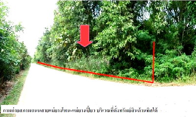 PROPERTY 4596 Sq.w. Rong Kwang Phrae for 10.2M