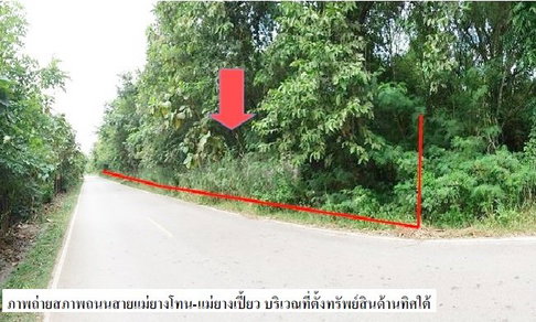 ที่ดินว่างเปล่า 4596 ตร.วา แม่ยางโทน ร้องกวาง-แพร่ ร้องกวาง แพร่ 10.1M