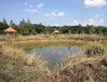 listing thumbnail image 1