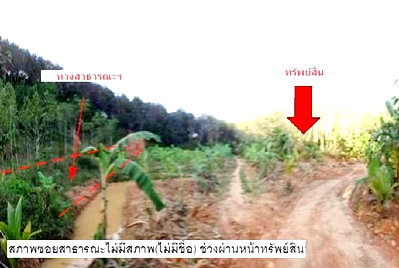 PROPERTY 4250 Sq.w. Sadao Songkhla for 1.8M