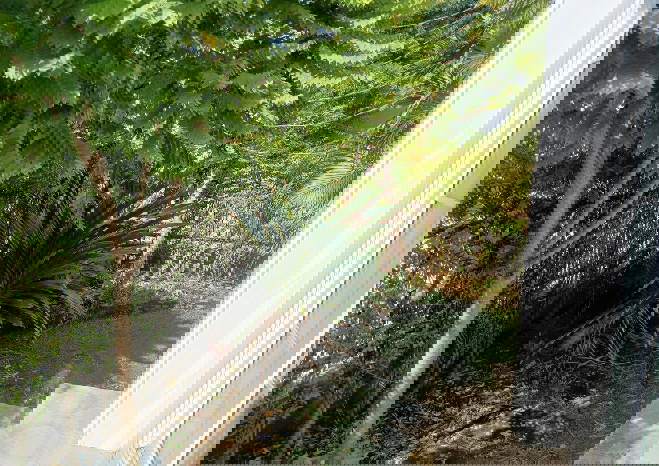 picture HOME for sale บ้านแฝด โกลเด้น นีโอ บางนา-สวนหลวง ประเวศ - 7/15