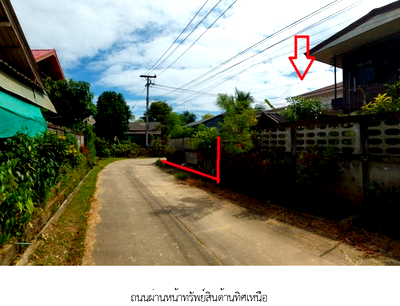 Houses for sale Chiang Rai : HOME for sale บ้านเดี่ยว บ้านป่าตึง ภาคเหนือ
