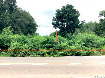 ที่ดินว่างเปล่า 1554 ตร.วา หนองมะโมง ชัยนาท 972,000