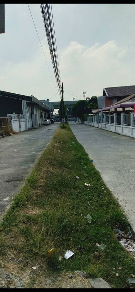 รูป ขายที่ดิน แปลงสวย ซอยรามคำแหน่ง135 200 ตรว 2 โฉนด เหมาะสร้างบ้าน ทำร้านอาหาร คาเฟ่ - รูปที่ 4/7