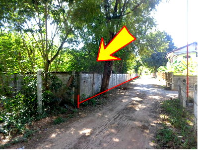 PROPERTY 1355 Sq.w. Yang Talat Kalasin for 4.1M