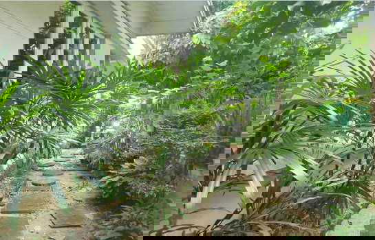 รูป ขาย บ้านเดี่ยว หมู่บ้านมัณฑนา พระยาสุเรนทร์ (รามอินทรา 109) 59 ตรว 4 นอน 3 น้ำ ใกล้ BTS Bang Chan - รูปที่ 12/12