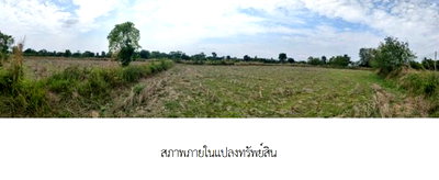 บ้านเดี่ยว ขอนแก่น : ที่ดินว่างเปล่า สำหรับขาย ที่ดินว่างเปล่า บ้านหนองคู ขอนแก่น