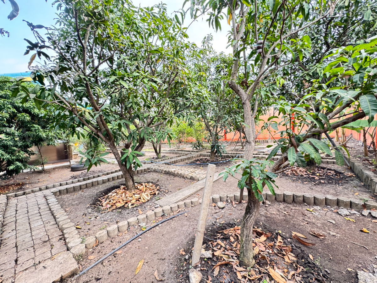 รูป บ้านเดี่ยว 500 ตร.วา เรียบคลองบางโพธิ์เหนือ สามโคก ปทุมธานี เฟอร์ครบ พร้อมอยู่ - รูปที่ 19/19