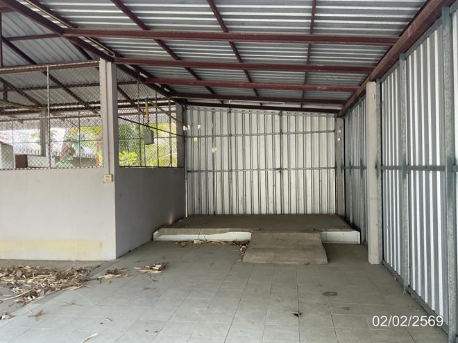 รูป บ้านเดี่ยว 233 ตร.วา แม่สาย เชียงราย 4.9M - รูปที่ 12/30