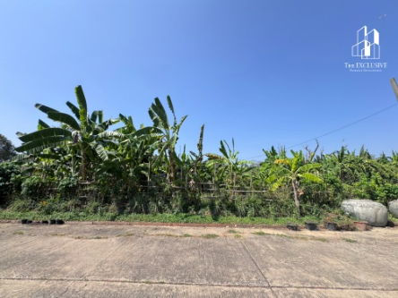 รูป ขายด่วน ที่ดินเปล่า ซอยราษฎร์อุทิศ 58 มีนบุรี เนื้อที่ 169 ตร.ว - รูปที่ 2/6