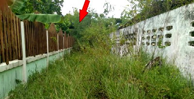 บ้านเดี่ยว จักราช โคราช : ที่ดินว่างเปล่า สำหรับขาย ที่ดินว่างเปล่า จักราช-นครราชสีมา