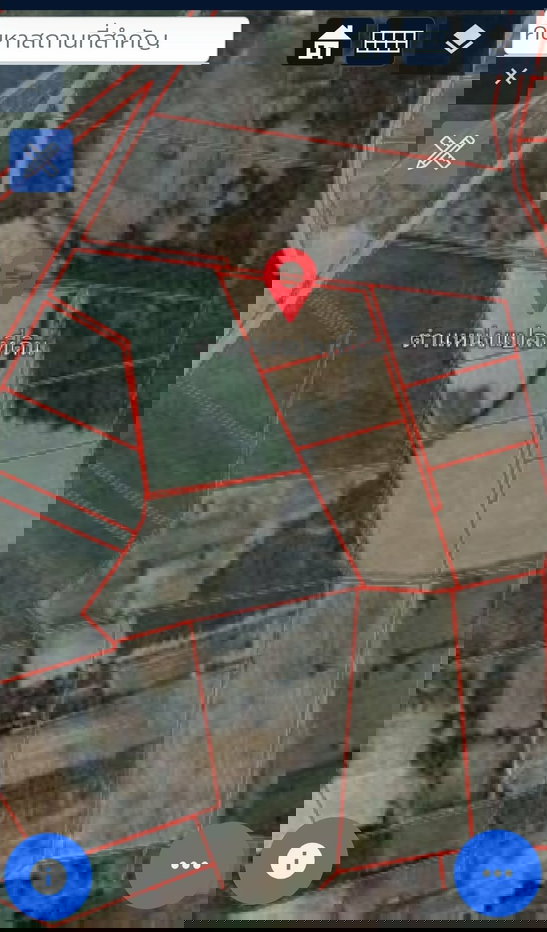 รูป ขายที่ดินกาฬสินธุ์ กุฉินารายณ์ ท้ายบ้านแจนแลน 35ไร่48ตร.ว ราคา5.2ล้าน ต่อรองได้ ราคาเฉลี่ยต่อไร่ต่ำกว่า150,000บาท - รูปที่ 1/4