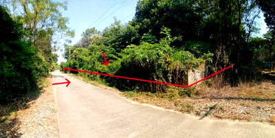 PROPERTY 966 Sq.w. Kao Lieo Nakhon Sawan for 3.7M