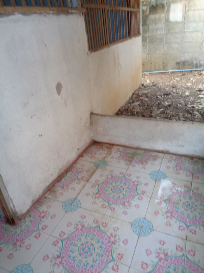 picture HOME for sale บ้านเดี่ยว ท่าเดื่อ ท่าวังผา-น่าน - 6/13