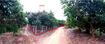 PROPERTY 2106 Sq.w. Ban Hong Lamphun for 1.2M