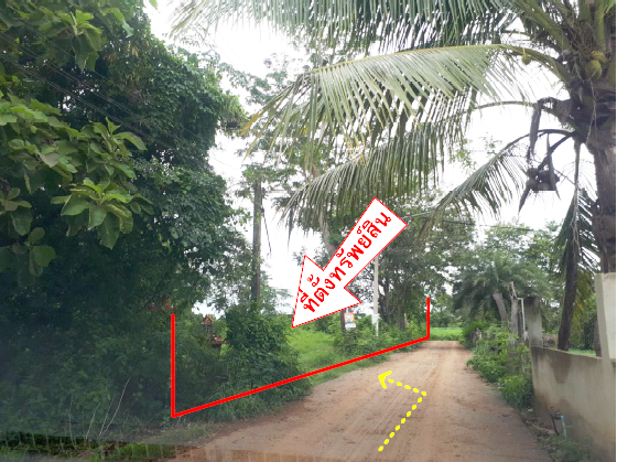 รูป บ้านเดี่ยว สำหรับขาย บ้านเดี่ยว อรัญประเทศ-สระแก้ว - รูปที่ 3/5