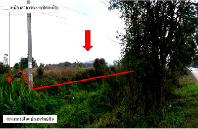 PROPERTY 821 Sq.w. Chiang Kham Phayao for 2.5M