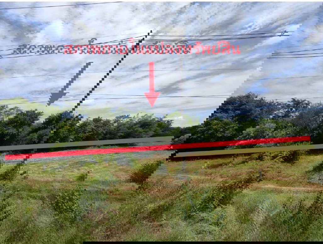 รูป ที่ดินว่างเปล่า สำหรับขาย ที่ดินว่างเปล่า บ้านชำแฮด บรบือ-มหาสารคาม - รูปที่ 4/8