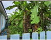 listing thumbnail image 5