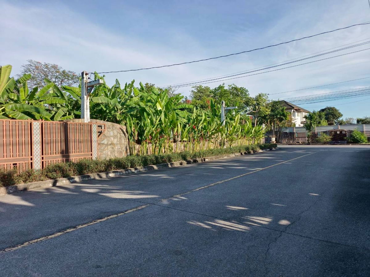 รูป ขายที่ดินเปล่า 3 ไร่ 133 ตร.ว. ติดถนนบางบอน 4 เขตหนองแขม ติดลัดดารมย์ เพชรเกษม 69 - รูปที่ 8/9