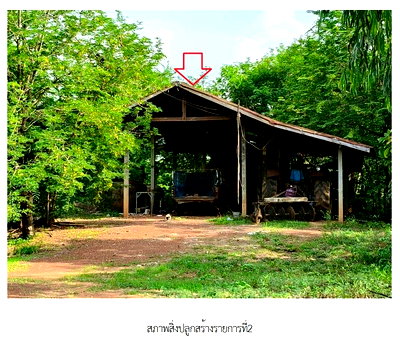 HOME 14370 Sq.w. Khemarat Ubon Ratchathani for 15.8M